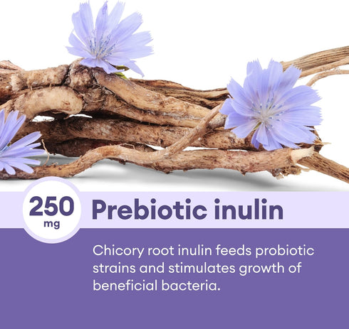Physician's CHOICE Prebiotic-Probiotic, Multi-Strain Probiotics for Digestive Health for Women & Men