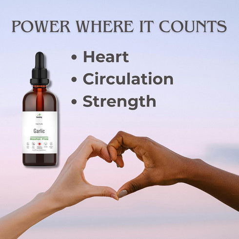 Herbity Immune 3.4 oz (100 mL) Garlic Tincture Alcohol-Free Herbal Supplement for Heart, Circulation & Support Vegan