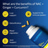 Blueprint Bryan Johnson NAC Supplement - Promotes Stress Relief, Immune System Function, Respiratory Health - includes N-Acetyl-L-Cysteine, Ginger, Curcuminoids - Detoxifying - Vegan (30 Servings)