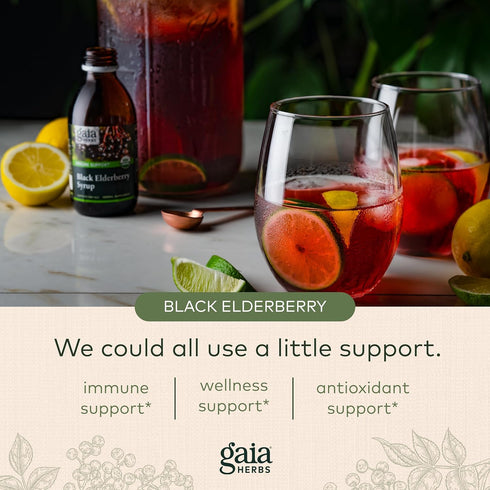 Gaia Herbs Black Elderberry Syrup - Immune Support Supplement with Organic Black Elderberries, 3 Fl Oz