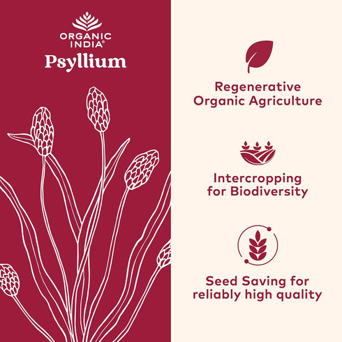 ORGANIC INDIA Psyllium Herbal Powder - Whole Husk Fiber, Healthy Elimination, Keto Friendly, Vegan, Gluten-Free, USDA Certified Organic, Non-GMO, Soluble & Insoluble Fiber Source - 12 oz Canister