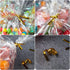 Zcintert Clear Cello ???????????????????? ?????????? ????????, 100 Pcs - 8" x 11" Plastic Gift Bags for Party Favors