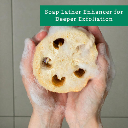 Natural Loofah Exfoliating Sponge (4 Pack) - Biodegradable Loofa Body Scrubber