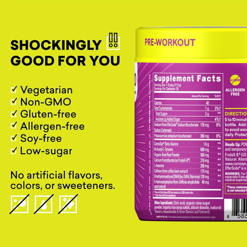 EBOOST POW Natural Pre Workout Powder - 20 Servings - Berry Melon Fizz - Pre Workout Supplement for Performance, Joint