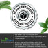 Tick Immune Support Supplement - Improved Formula with Japanese Knotweed, Cat's Claw, Chinese Skullcap, 90 Vegan