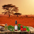 Shea Terra Rose Hips and Carrot Perfecting Serum, 2 oz, All Natural & Organic Oil