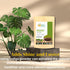 Indigo Powder for Hair - 150 Grams Natural Black Hair Dye, Indigofera Tinctoria, 100% Natural Organically Grown
