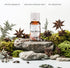 THE PREMIUM NATURE 100% 0.34 oz Star Anise Essential Oil | Sweet, Licorice-Like Aroma | Pure & Natural | for Diffuser