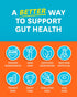 Zenwise Health No Bloat - Probiotics and Digestive Enzymes for Bloating Relief, Vegan Water Retention Pills