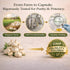 TRUE NATURALS 300 2-Year Immune (1) Aged Garlic Extract - Softgels, Odorless, Organic Garlic Supplement, Matured