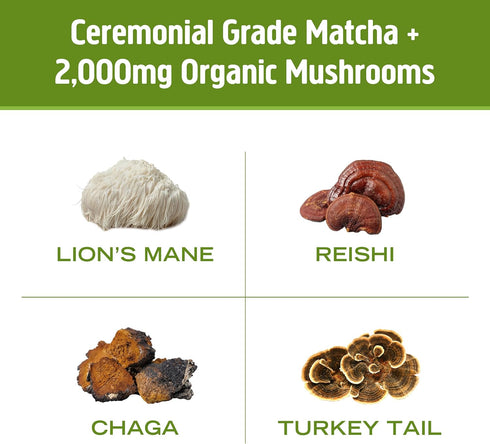 Packets (10 Count) OM MUSHROOM SUPERFOOD Matcha Latte Blend Green Tea Mushroom Powder with Lions Mane, Reishi, Chaga