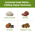 Packets (10 Count) OM MUSHROOM SUPERFOOD Matcha Latte Blend Green Tea Mushroom Powder with Lions Mane, Reishi, Chaga