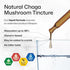 BIO KRAUTER Chaga Mushroom Extract, Tincture for Immune Support - Vegan, Alcohol & Sugar Free Drops 4 Fl.Oz.