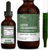 Earth Harmony Liquid Chlorophyll, Liquid Drops for Immune System Support, Natural Internal