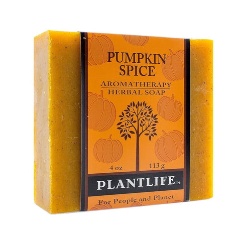 Plantlife Pumpkin Spice Bar Soap, Moisturizing and Soothing, 4oz Bar