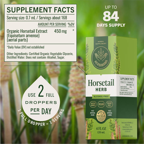 Horsetail Horsetail 84-Day HERBAMAMA Herb Extract Drops - Vegan Hair, Nail & Skin Care with Leaves Tincture - Non-GMO