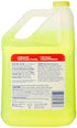 Mr. Clean Summer 128 Oz Multi Surfaces Antibacterial Liquid Cleaner, Citrus
