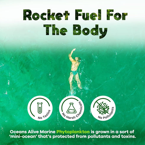 Chlorophyll Algae Supplement by Activation Products - Marine Phytoplankton, 1 Month Supply, 30 ml