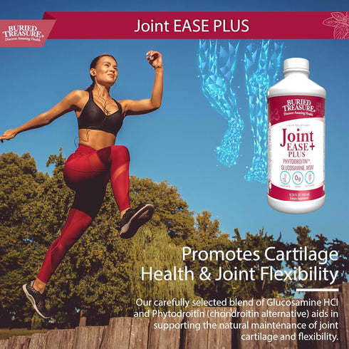 Buried Treasure Joint Ease Plus - 16 fl oz, Glucosamine Chondroitin with MSM and Turmeric for Joint Support