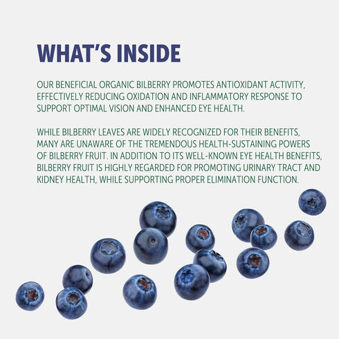 Bilberry Extract Capsules, 5000mg, 200 Count, Ultra Strength Supplement, Supports Eye Health, Gluten-Free & Non-GMO