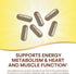 Max6 B12 90 Nature's Way Alive! Potency Adult Complete Multivitamin, Vitamins A,C, E & B-Vitamins, Methyl & Folate
