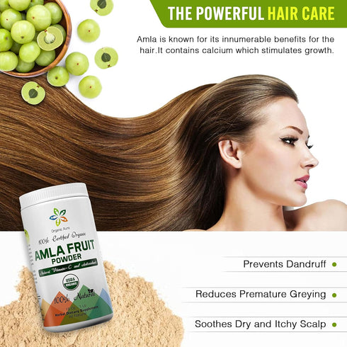 Certified Organic Aura Amla Powder - 16Oz (1Lb) - Powerhouse of Natural Vitamin C & Antioxidants