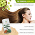 Certified Organic Aura Amla Powder - 16Oz (1Lb) - Powerhouse of Natural Vitamin C & Antioxidants
