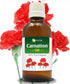 Salvia Carnation Therapeutic Essential Oil 15ML - 100% Natural Uncut Undiluted Pure Cold Pressed Aromatherapy