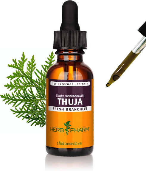 Herb Pharm Thuja Branchlet Liquid Extract, 1 Ounce