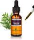 Herb Pharm Thuja Branchlet Liquid Extract, 1 Ounce