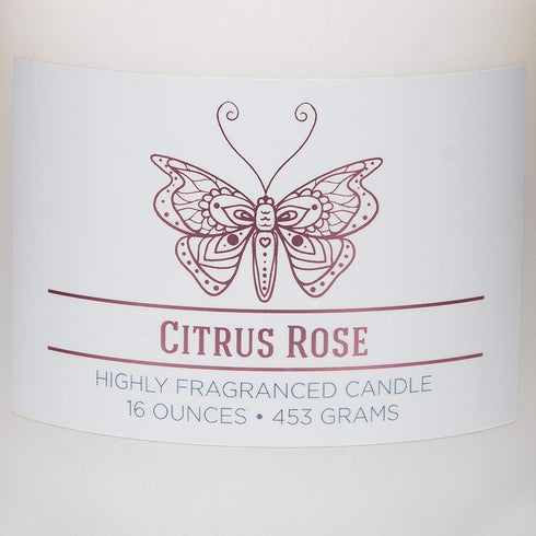 Citrus Rose Scented Jar Candle, Relaxing Aromatherapy Candle, 2 Wick White Jar, 60hr Burn