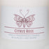 Citrus Rose Scented Jar Candle, Relaxing Aromatherapy Candle, 2 Wick White Jar, 60hr Burn