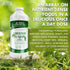 Buried Treasure Green20 Fusion - Liquid Greens Drink with 16 Superfoods, 32 Servings, Supports Energy, Immunity &