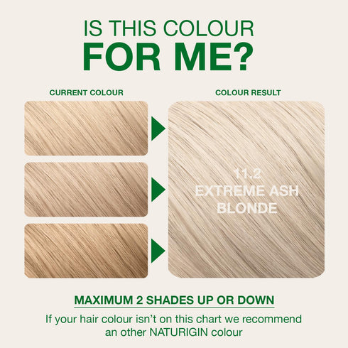 Naturigin Permanent Hair Color, 11.2 Extreme Ash Blonde, Ammonia Free, 1 Pack, 100% Gray Coverage