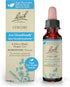 Bach Original Flower Remedies, Chicory for Unconditional Love, Natural Homeopathic Flower Essence, Vegan, 10mL Dropper