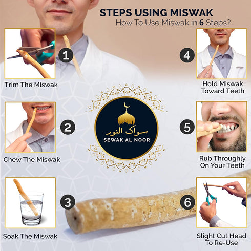 Pack of 5 Miswak Sticks with Holder - Natural Flavored Chew Sticks for Teeth Whitening, Oral Health & Fresh Breath