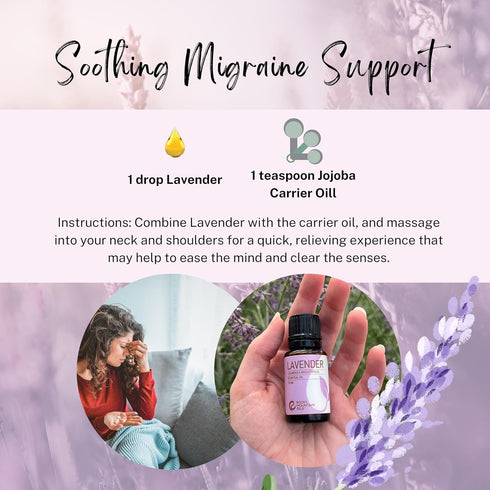 Rocky Mountain Oils Purify Lavender Essential Oil | Organic Diffuser Oil for Aromatherapy & Sleep