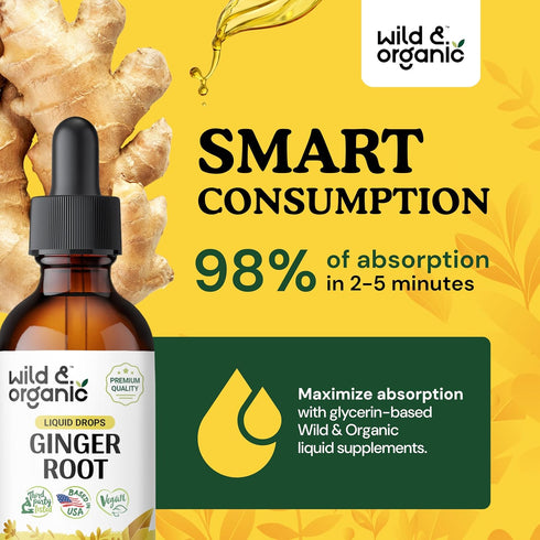 Ginger Liquid Extract - Organic Ginger Root Drops - Vegan, Alcohol Free Tincture - 2 fl oz