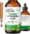 Gymnema Tincture | Sugar-Free Organic Gymnema Sylvestre Drops for Antioxidant Support - 4 Fl Oz
