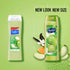 Suave Body Wash Variety 2-Pack, Juicy Green Apple + Mango Citrus, 18 Oz Each
