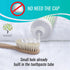 Natural Mint Toothpaste for Sensitive Teeth Dead Sea Salt Whitening Toothpaste | Fluoride & SLS Free | Plaque & Stain