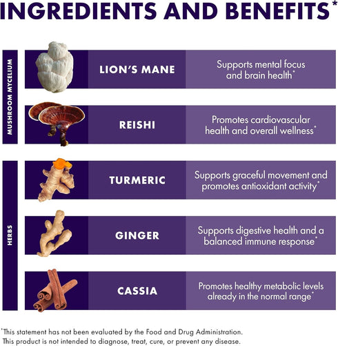 Host Defense MycoBotanicals Brain & Body Powder - 3.5 oz Supplement with Lion's Mane & Reishi for Memory & Focus