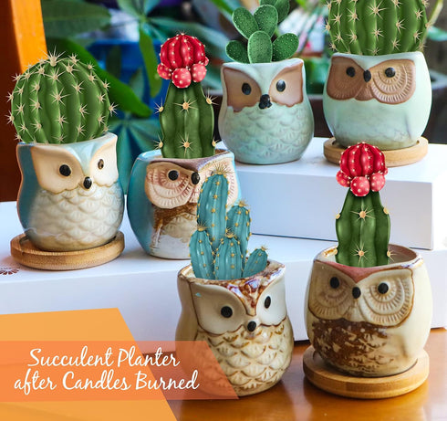 Kinforse 6 Pack Scented Candles Birthday Gifts for Women, Owl Gifts for Women, Novelty Owl Aromatherapy Candle Bulk