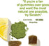 Skratch Labs Energy Chews | Energy Gummies for Running, Cycling, and Sports Performance | Matcha + Lemon (10 Pack)