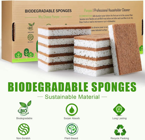 Biodegradable Natural Kitchen Sponge, Eco Friendly Compostable Cellulose Sponge with Coconut Walnut, Pack of 12