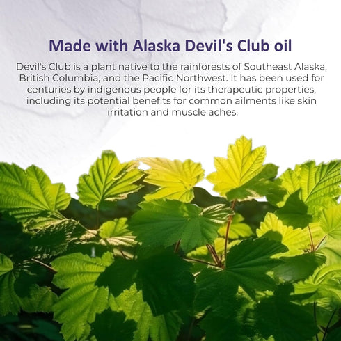 Alaska Devil's Club Lavender Salve - Handmade Skin Care Ointment with Lavender, Natural Muscle Rub - 2 oz, Made in USA