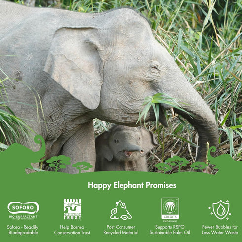 Happy Elephant Dish Soap - Liquid Ez Squeeze Bottle, Superior Cleaning Power, Easy Rinse, Gentle on Hands - White Tea
