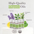 Pranarom - Top 5 Essential Oil Kit (5-Pack of 5ml) - Lavender, Peppermint, Tea Tree, Eucalyptus, Lemongrass
