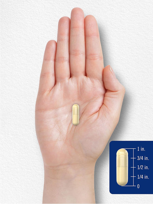 Carlyle Gelatin Capsules, 2160 mg with Silica Optimizer, 250 Count Non-GMO, Gluten Free Supplement