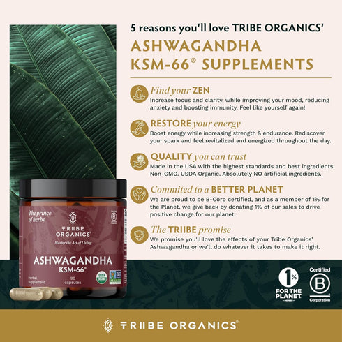 TRIBE ORGANICS Ashwagandha KSM 66 - Pure Organic Root Powder Extract for Focus & Mood Support, 90 Capsules